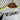 Camisa Feminina Benfica 24/25 Third